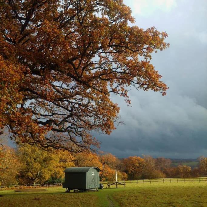 Skylark Shepherds Hut Royal Tunbridge Wells Ngoại thất bức ảnh